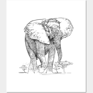 African Elephant, Savanna, Wildlife, Animal Posters and Art